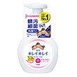 日本獅王趣淨洗手慕斯250ml清爽柑橘