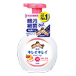 日本獅王趣淨洗手慕斯250ml清新果香